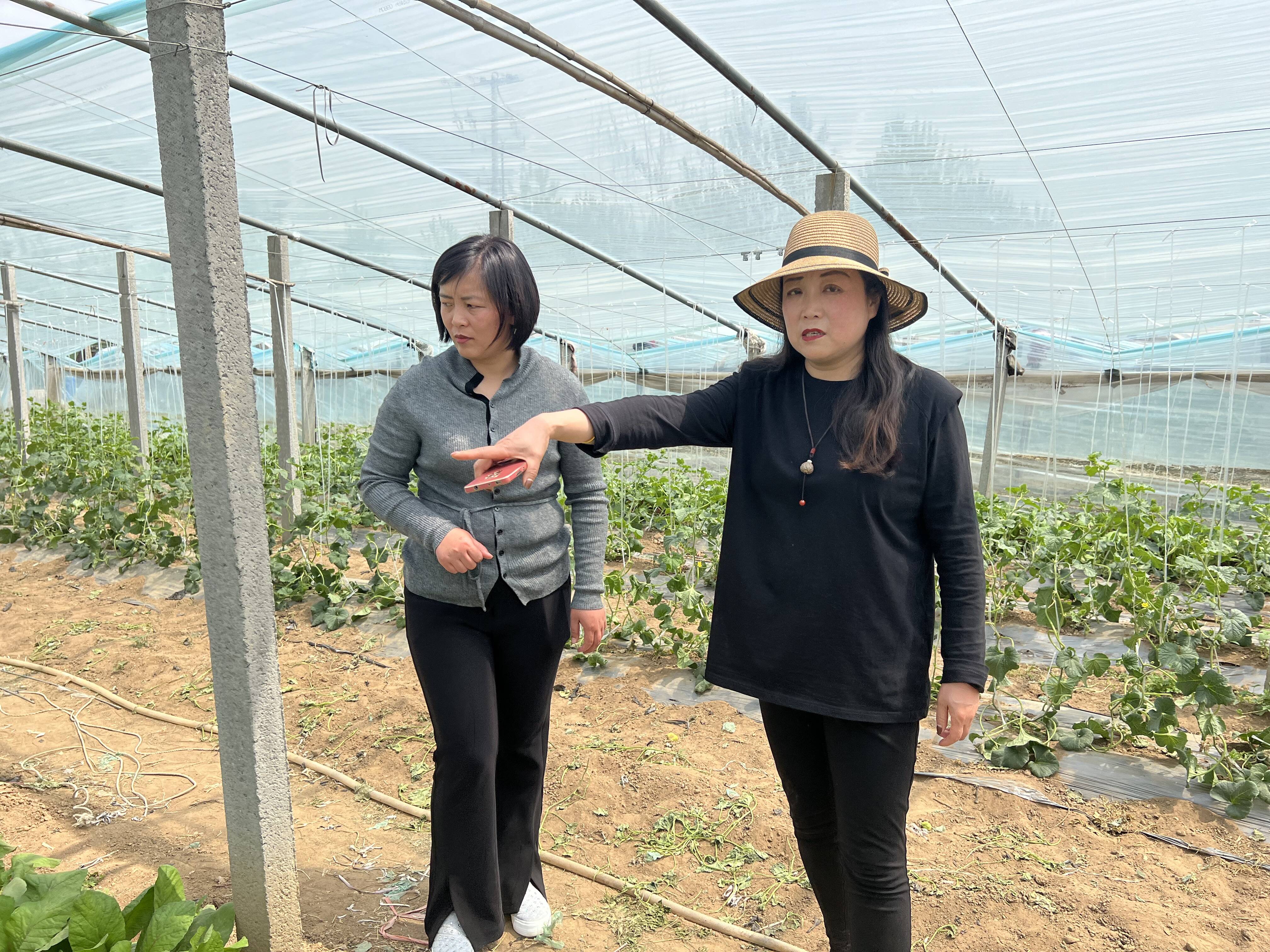 临沭店头镇女人图片