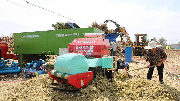 处理秸秆的办法是推广玉米秸秆还田技术,通过收割机收割后粉碎秸秆