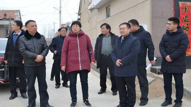 省派加强农村基层党组织建设工作队领导到平邑县卞桥镇调研