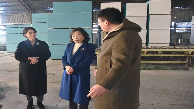 平邑县县委常委、副县长张晓华到平邑县保太镇调研指导工作(图3)