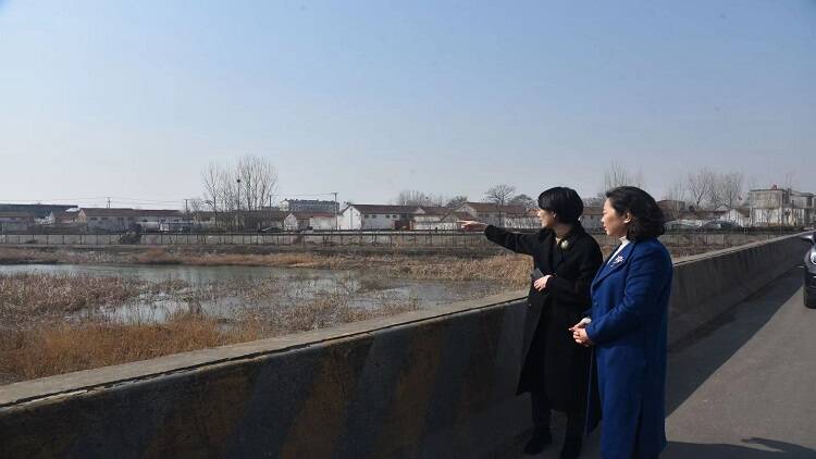 平邑县县委常委、副县长张晓华到平邑县保太镇调研指导工作(图2)