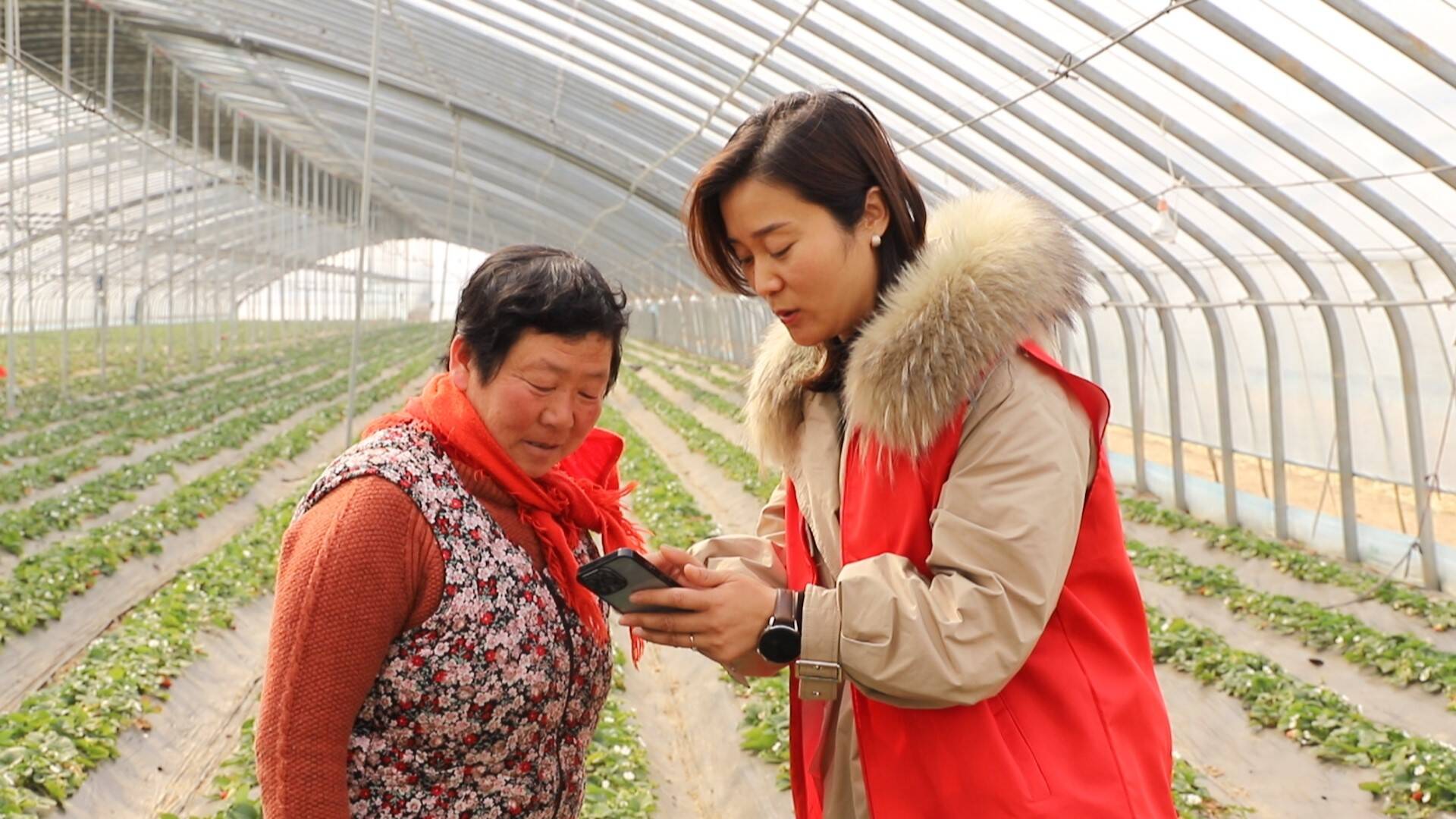 闪电号>媒体>临沂河东融媒>汤头街道办事处宣传干事王文莲告诉记者:"