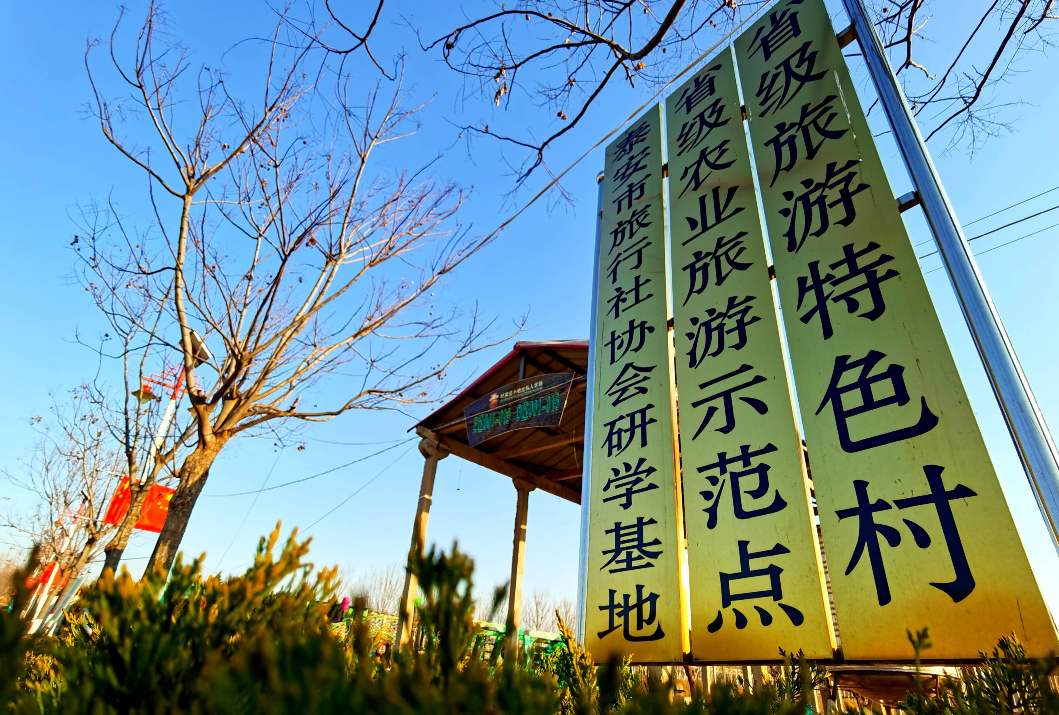 泰安市泰山区省庄镇叶家庄村草莓飘香开启莓好生活