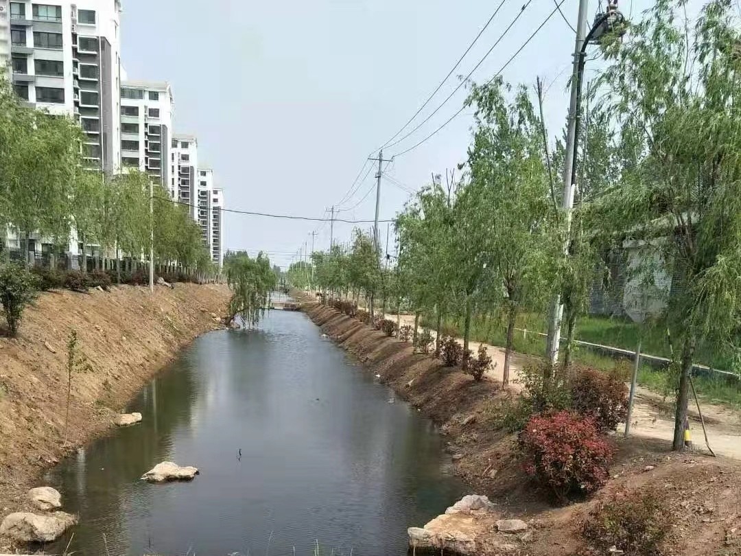 东平县老湖镇王台管区河道周边环境专项整治见实效