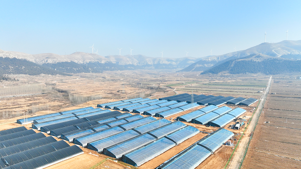 东平县旧县乡抢抓机遇谋发展接续施力谱新篇