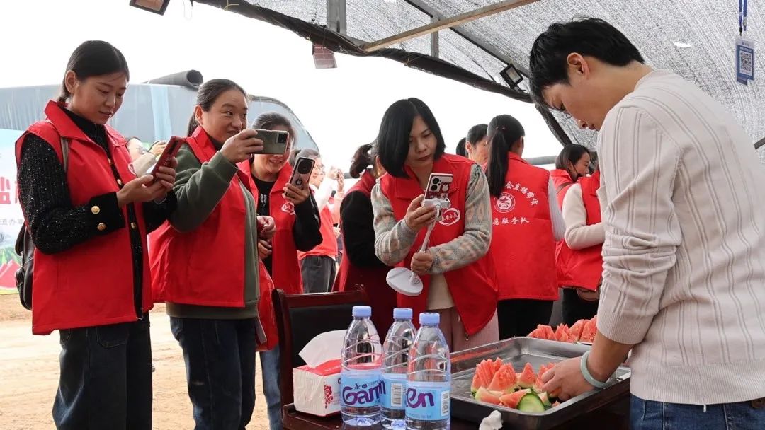 东平县东平街道无盐村生态采摘共享甜蜜