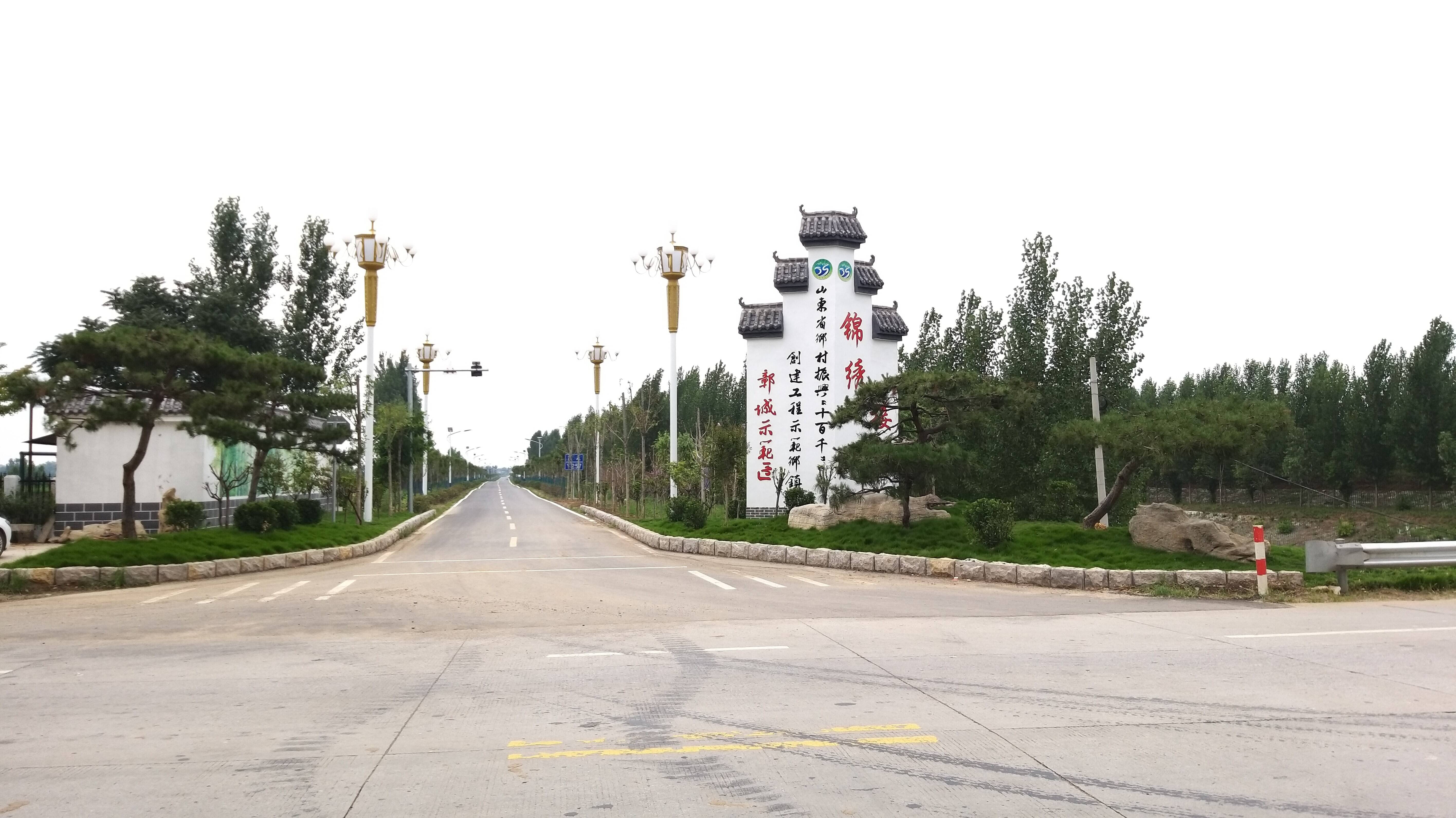 东平县接山镇锚定富民强村目标扎实办好民生实事