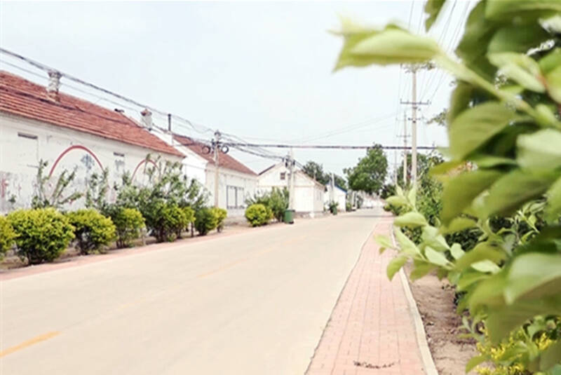 禹城市张庄镇点绿成景绘就生态文明新画卷