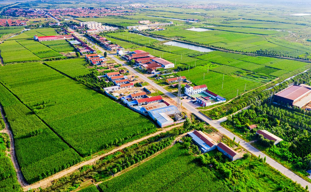 庆云县崔口镇党员群众齐动手打扫卫生迎新春