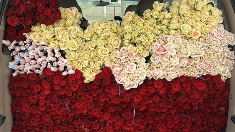 2021玫瑰花价格走势图