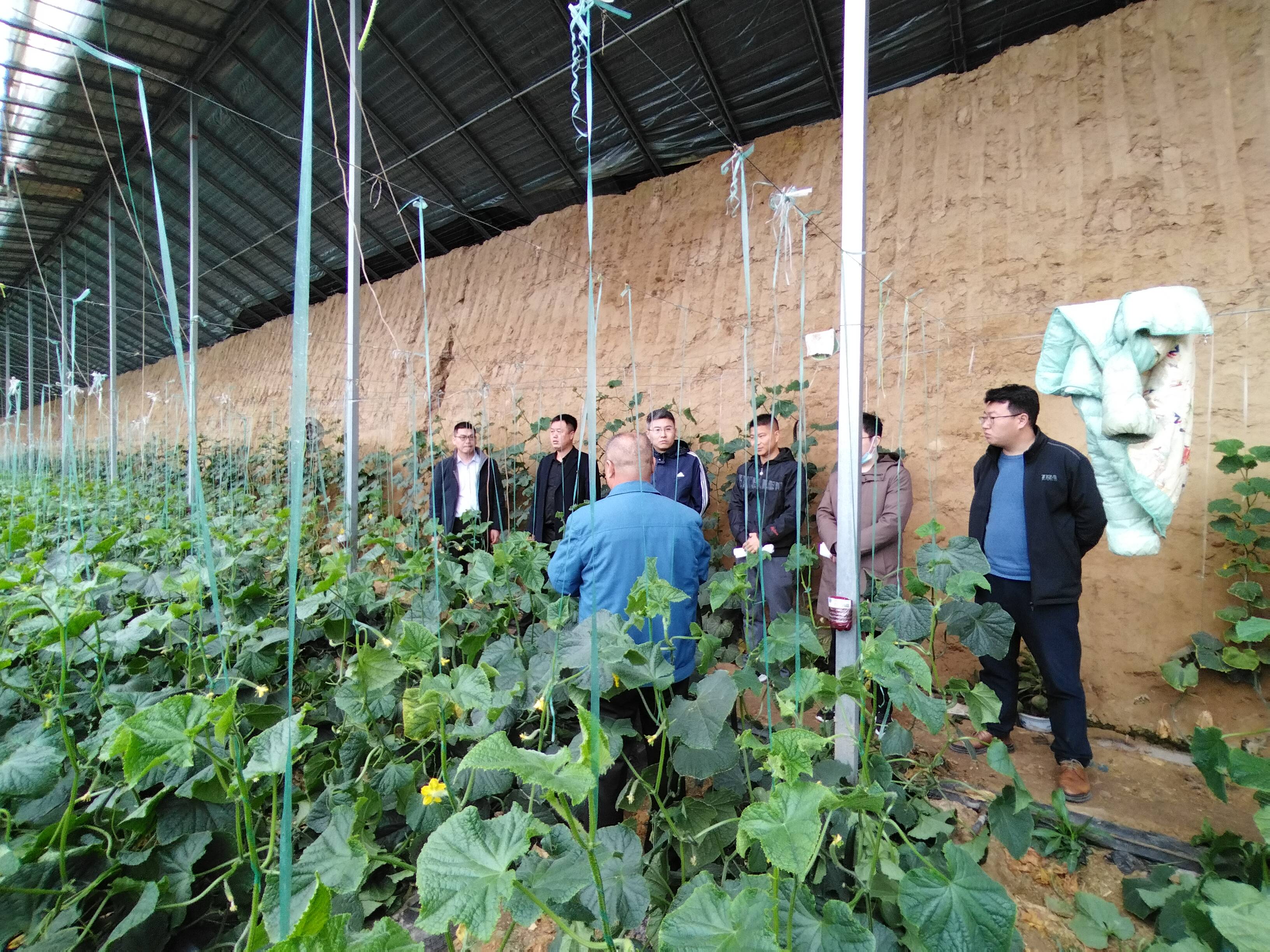 武城县四女寺镇:"田间课堂"让党员教育聚人气更接地气