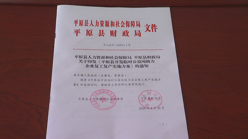 平原县新闻：新时代下的发展足迹