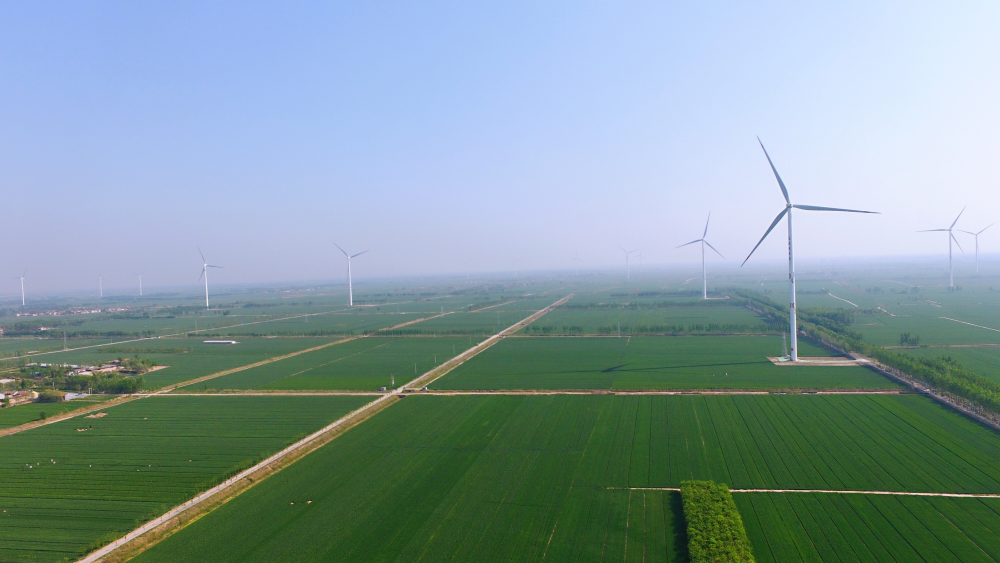 山东国瑞集团平原风电项目经理杨靖说:"整个前曹国瑞二十台风机每年的