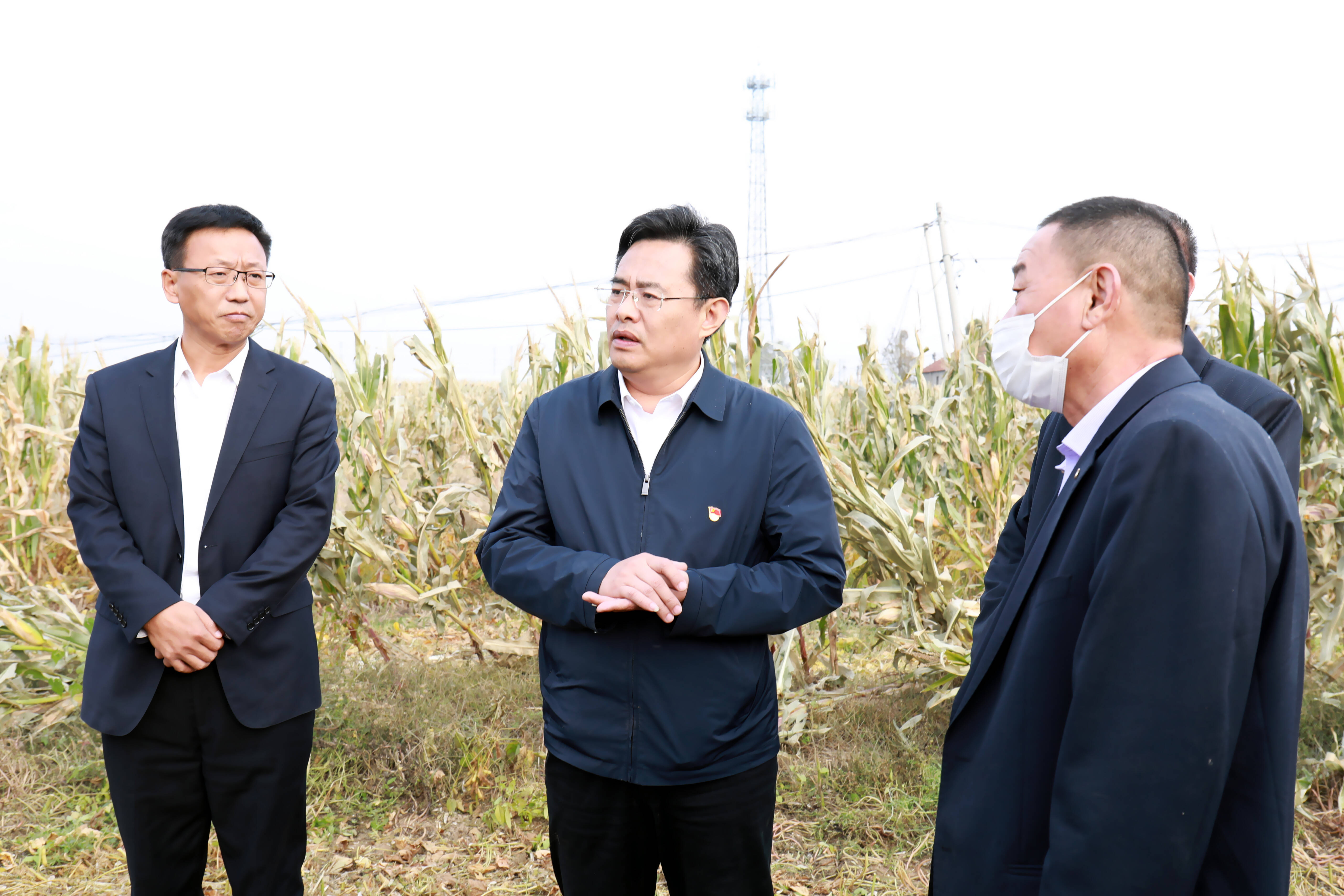 平原县委书记王玉东调研三秋生产工作