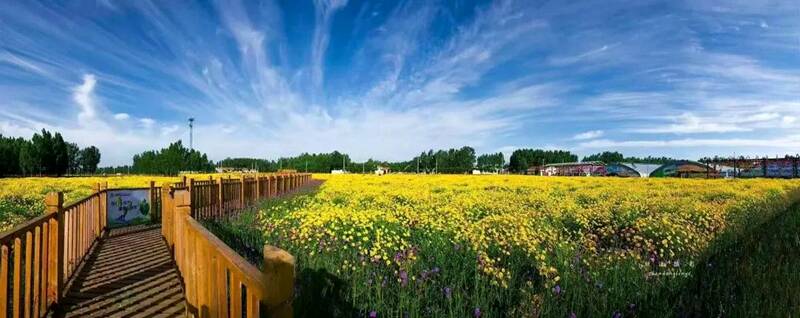 喜报临邑县临盘街道前杨村成功入选省级乡村旅游重点村