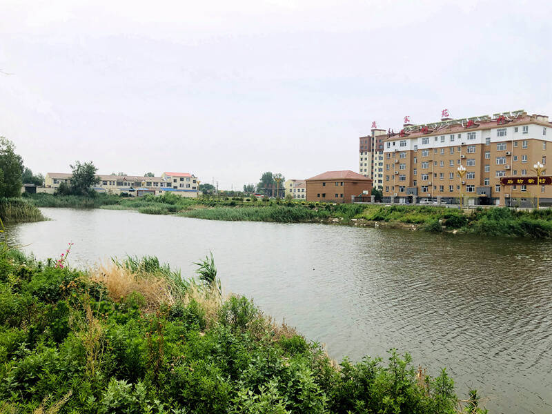 临邑县兴隆镇金银花开金银来红链赋能产业兴