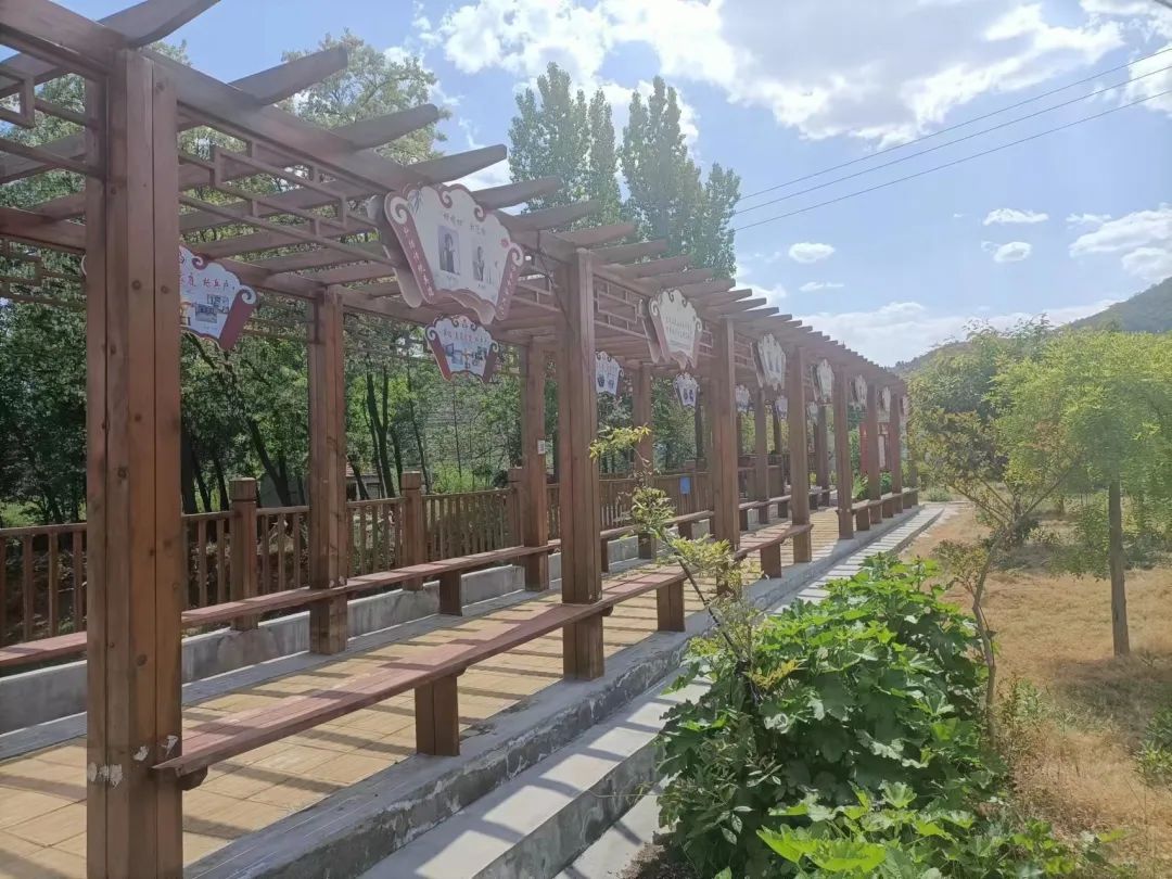 三提三争见行动西里镇环境大整治精干2023进行中