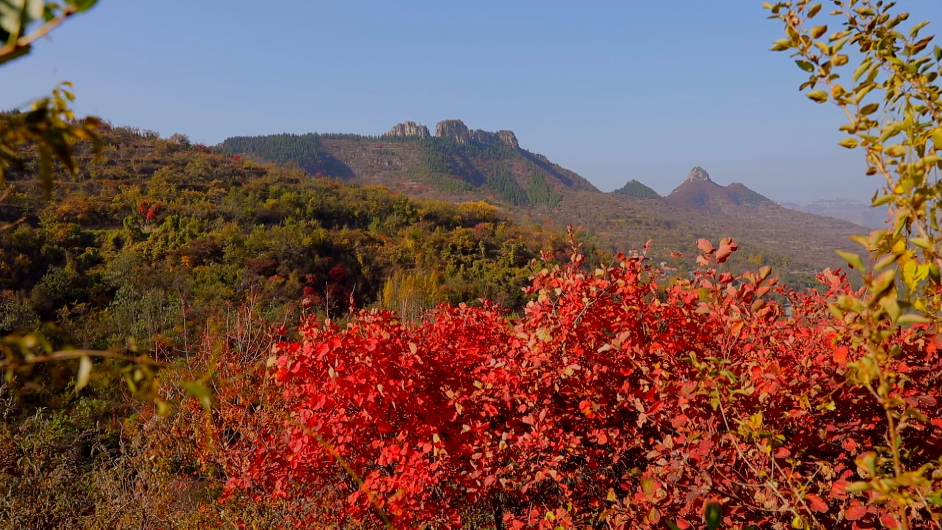 淄川红叶景点大全图片