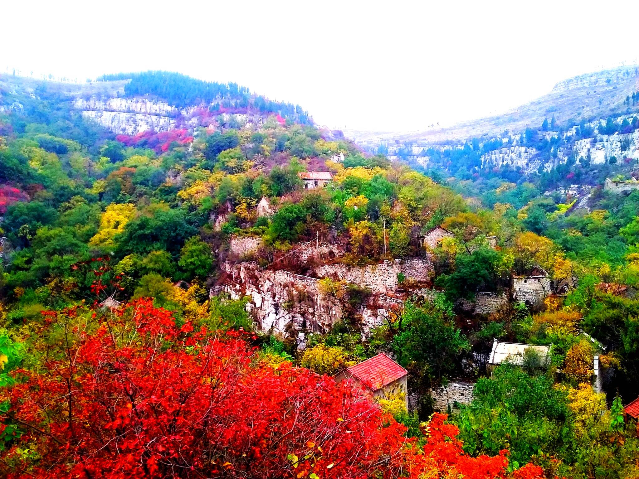 淄川红叶景点大全图片