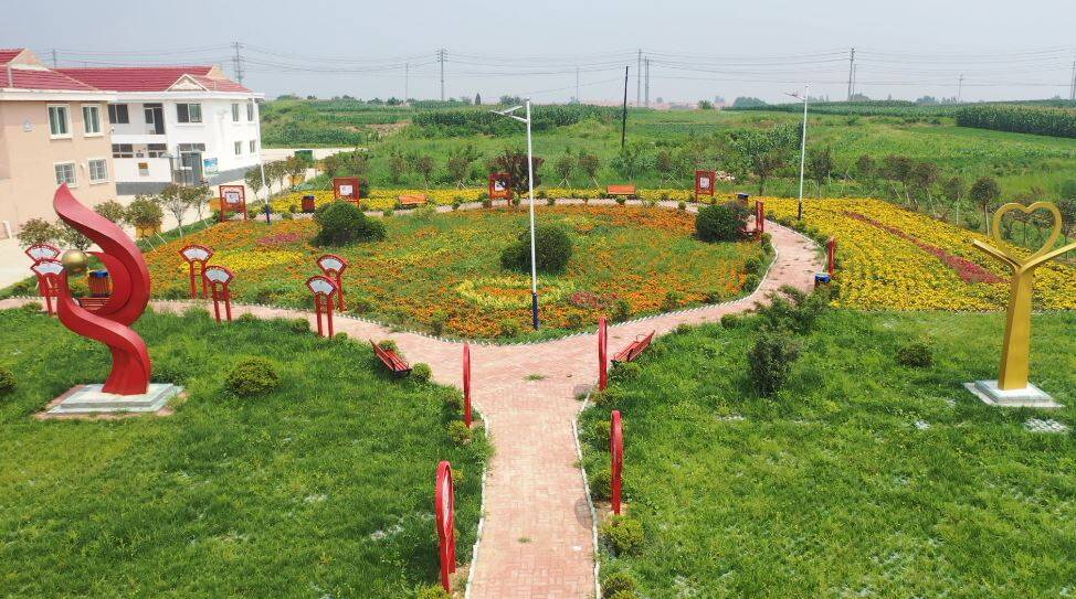 向阳村作为辛安镇乃至海阳市乡村振兴的典型村庄,依托村庄优势,发展