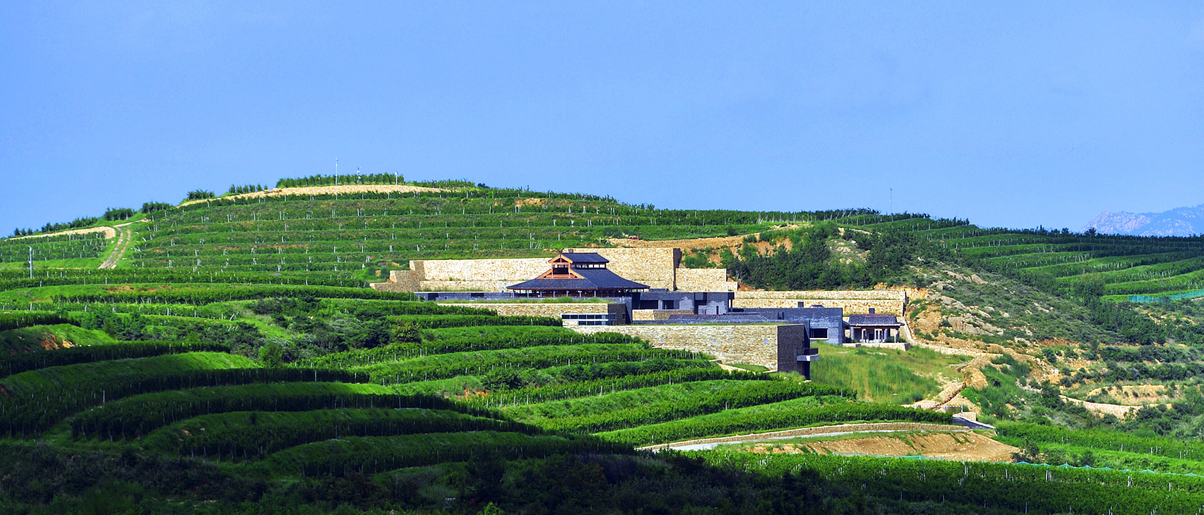 烟台市蓬莱区大辛店镇坚持生态文明理念建设绿色生态城镇