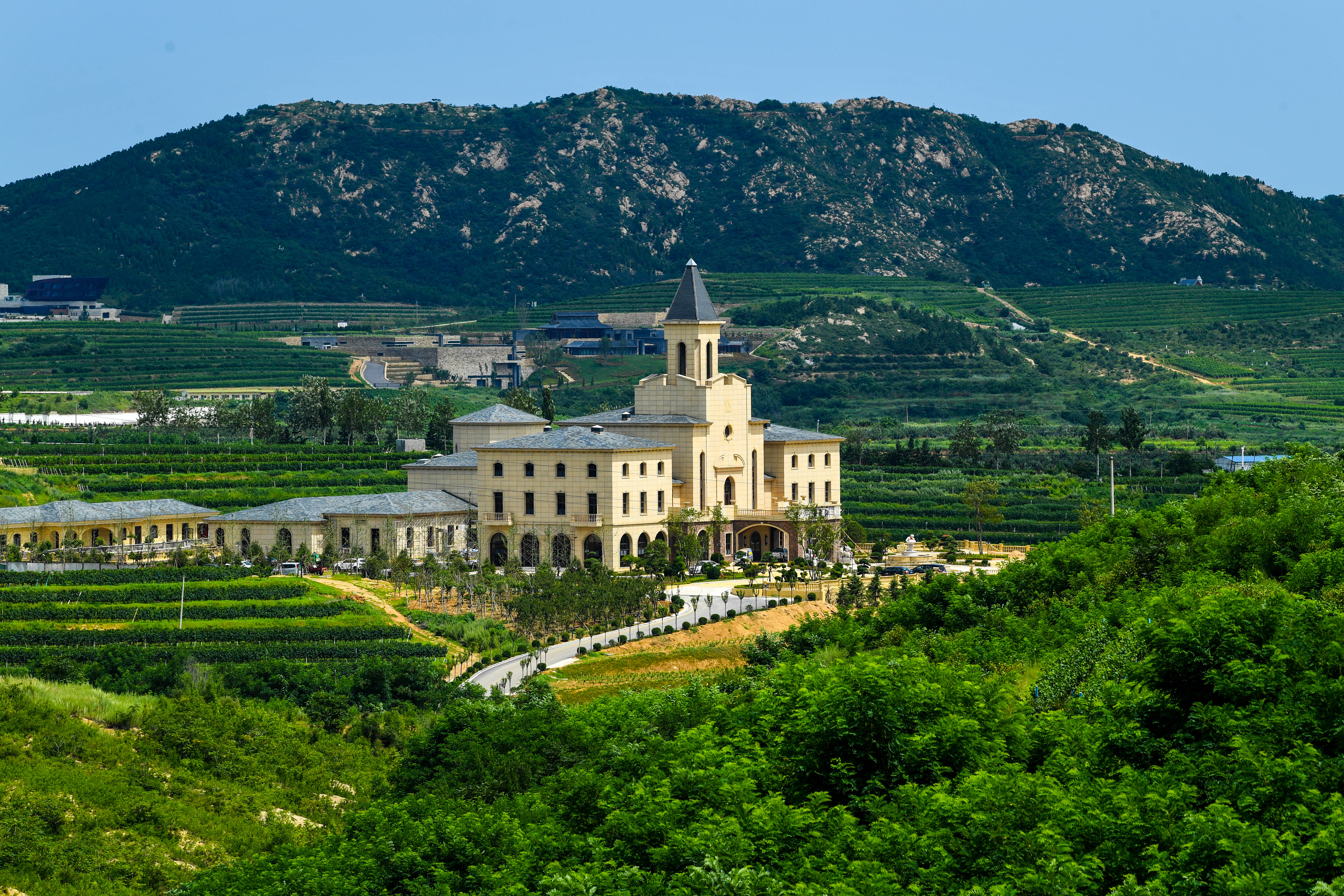 烟台市蓬莱区大辛店镇坚持生态文明理念建设绿色生态城镇