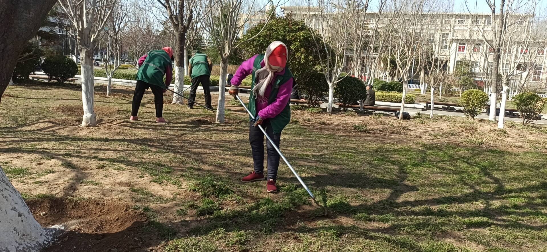 园林公司养护部怎么去管理