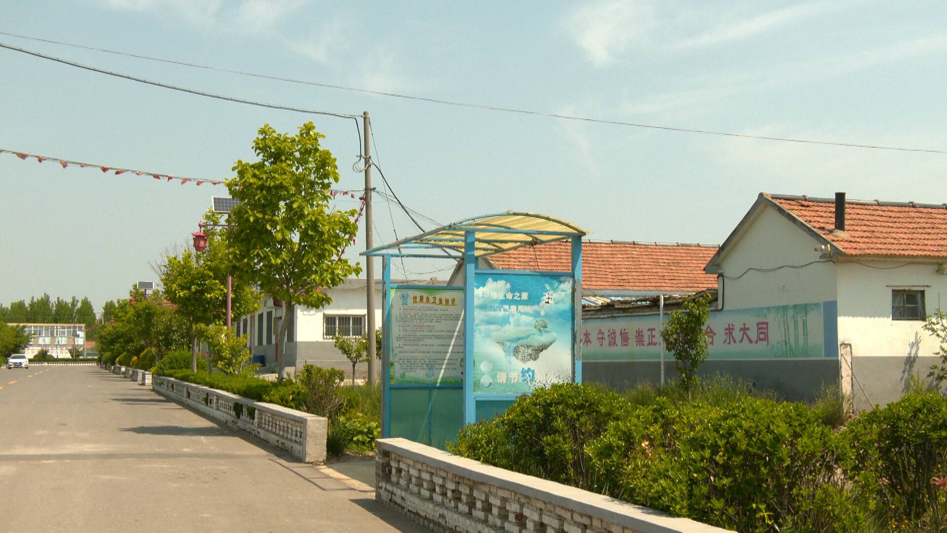 云上胶州>农舍庭院花香四溢,洁净村巷四通八达……漫步在铺集镇松园村