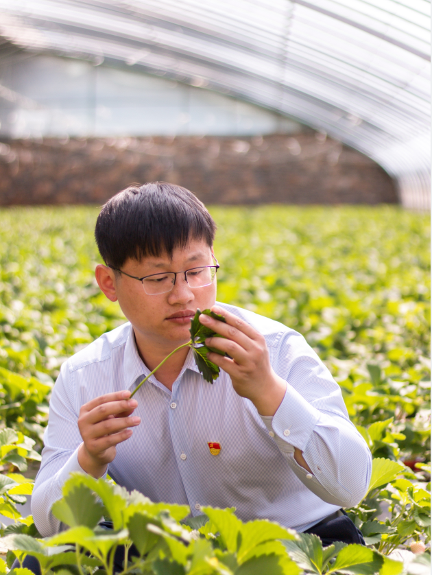 你好党代表丨王云龙90后村支书燃起来