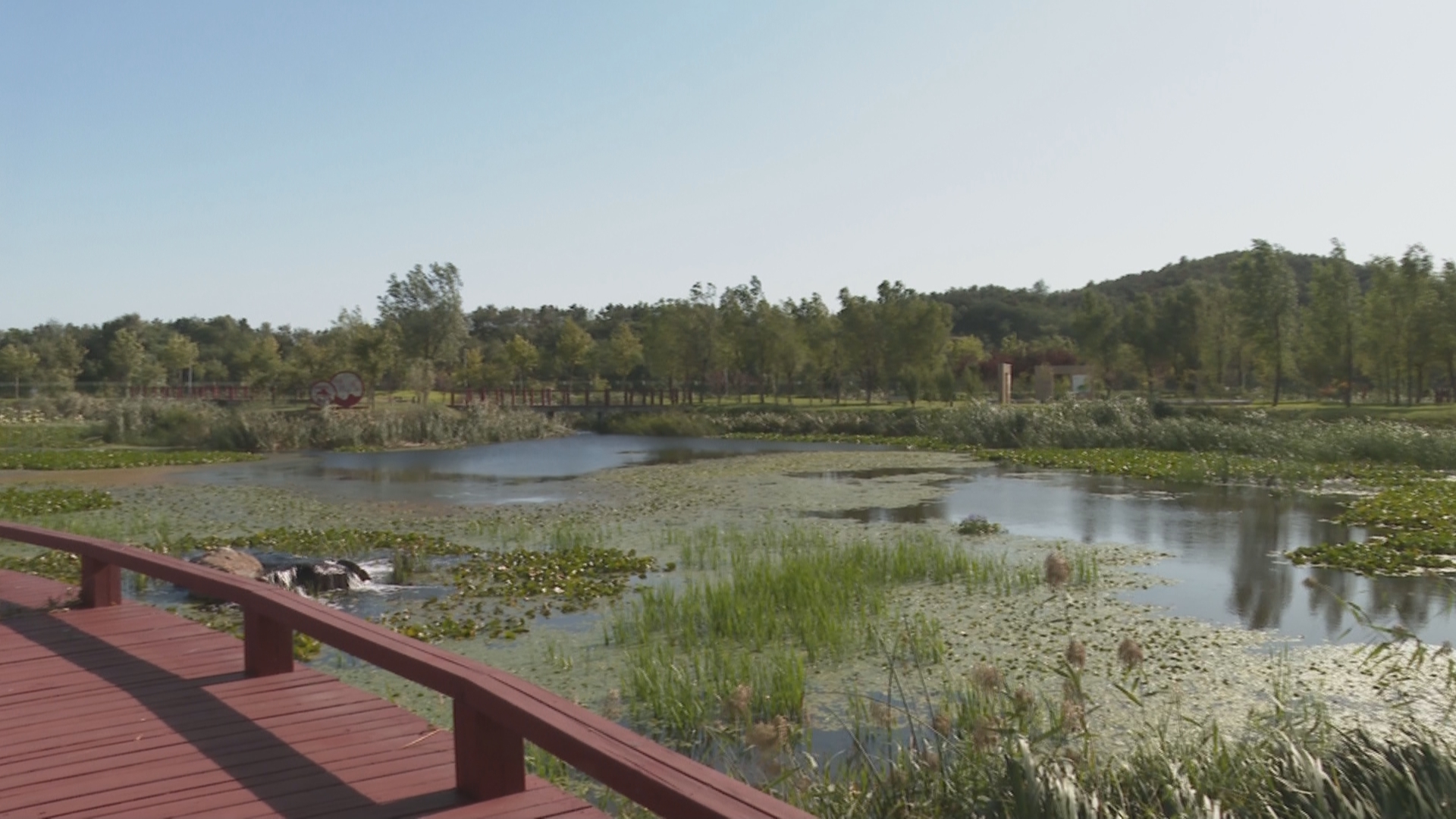 威海市文登区母猪河综合治理稳步推进