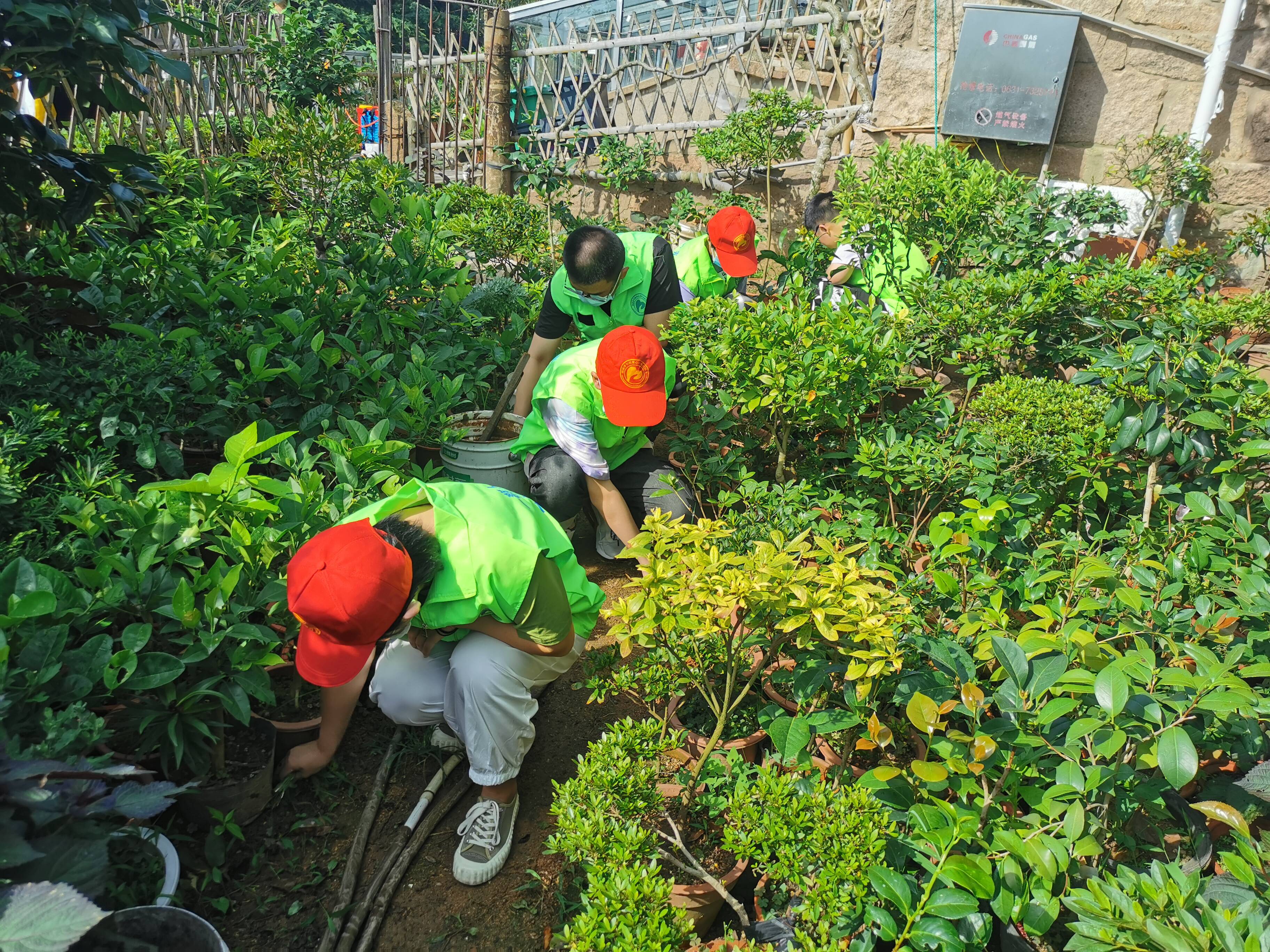 荣成市港湾街道车脚河社区开展清除杂草美化花村活动