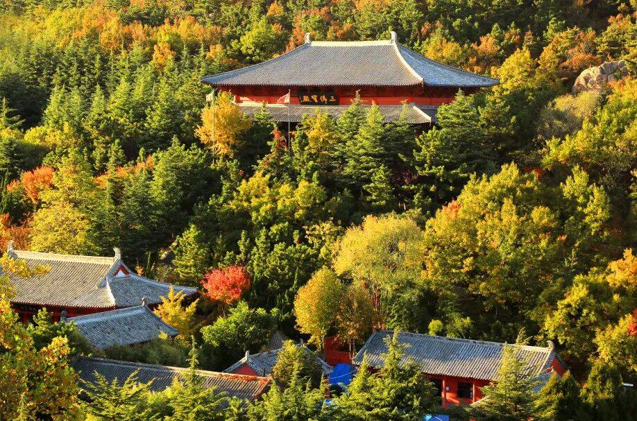 邂逅威海荣成市的早秋