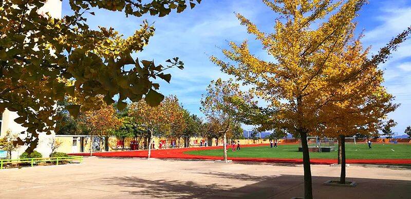 山东省威海市荣成市抓住这个秋天秋季校园美景大片来啦