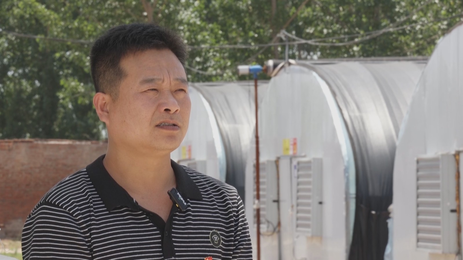 滨北街道：党建引领特色产业发展