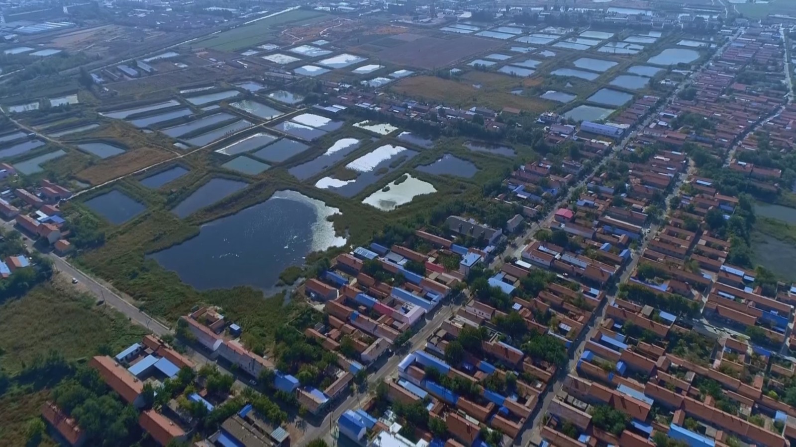 滨北街道：党建引领特色产业发展