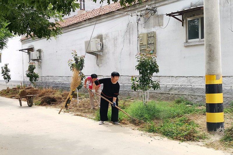 滨州市惠民县孙武街道:面子和里子两手抓 经济效益与环境整治双提升