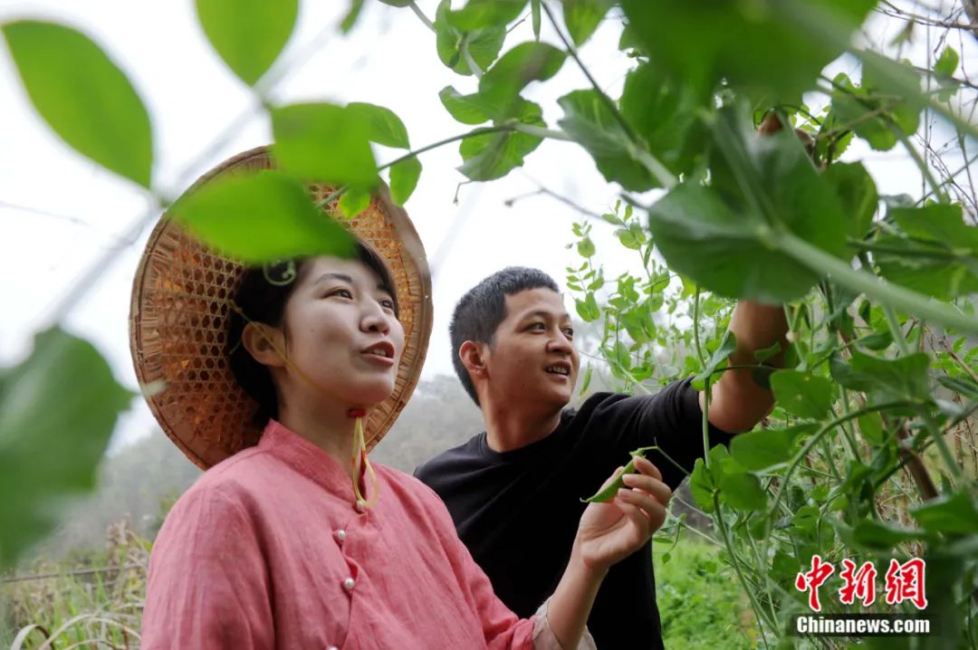 點(diǎn)擊進(jìn)入下一頁(yè)