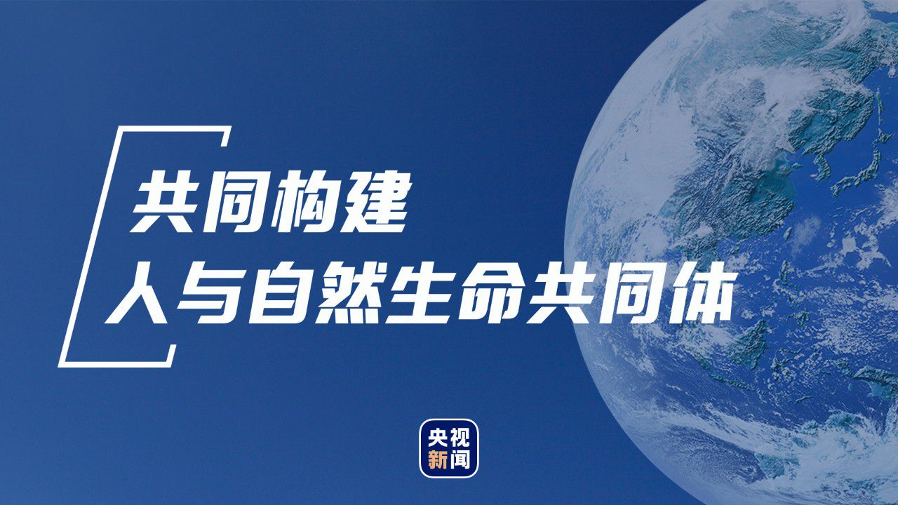 點(diǎn)擊進(jìn)入下一頁