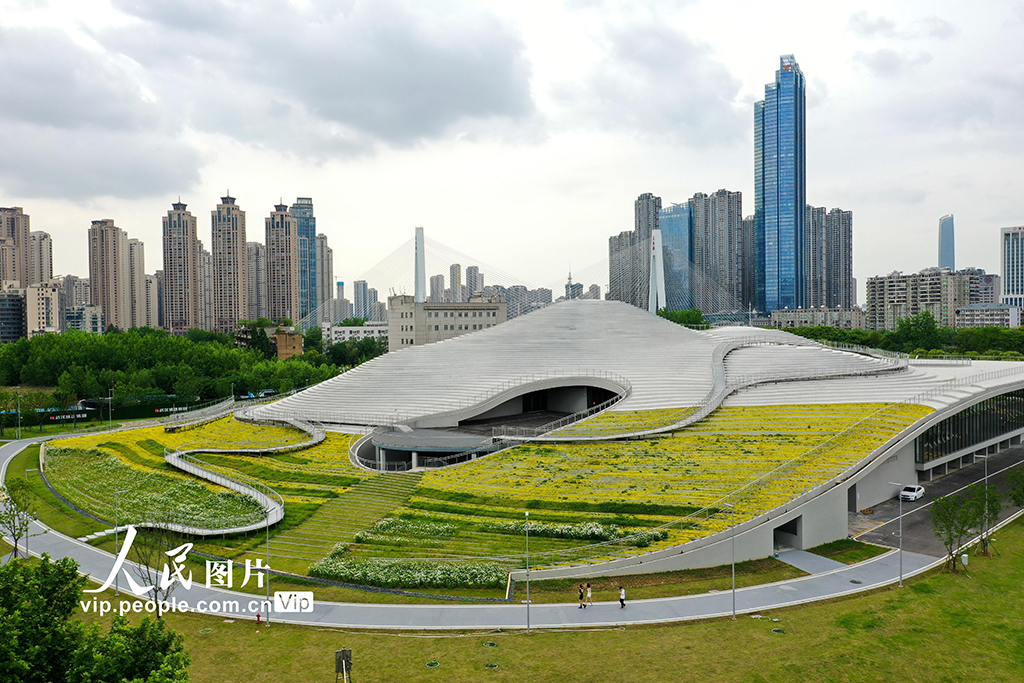 武汉：琴台美术馆完成工程质量竣工验收【6】