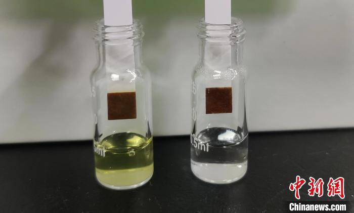 改造后用于制备葡萄糖的酵母菌株发酵液(棕色溶液)，及制备的葡萄糖(白色溶液)。 研究团队 供图
