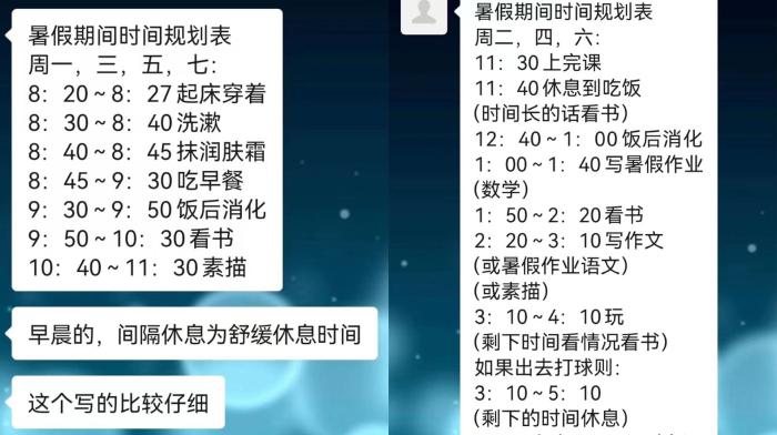 張雨萌的暑期計(jì)劃表。 受訪者供圖