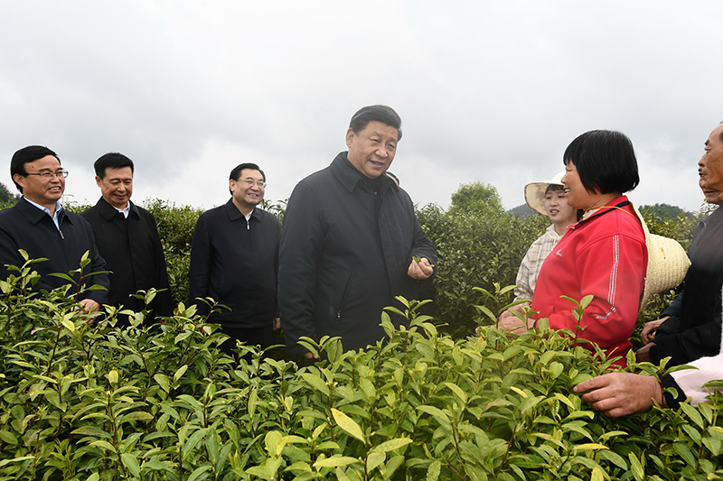 2020年4月21日，習(xí)近平總書記在陜西省安康市平利縣老縣鎮(zhèn)蔣家坪村女媧鳳凰茶業(yè)現(xiàn)代示范園區(qū)，同茶農(nóng)們親切交談。