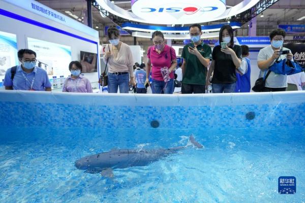 新华全媒＋丨“机器人聚北京”——2022世界机器人博览会开幕