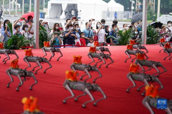 新华全媒＋丨“机器人聚北京”——2022世界机器人博览会开幕