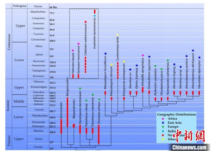 中英美机构合作完成英国中侏罗世异兽化石系统研究