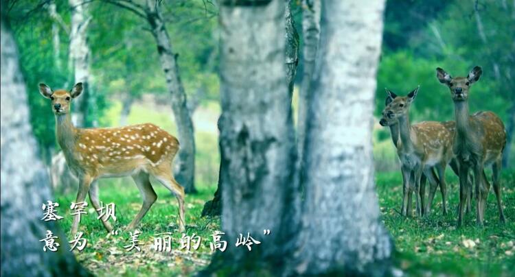 綠水青山是我家⑨｜60年，給世界一個(gè)“綠色驚嘆號(hào)”