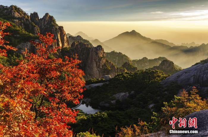 资料图：进了秋分时节，安徽黄山风景区漫山遍野的落叶阔叶树由青绿色向黄、红渐变，五色纷披，灿若图绣。方立华 摄