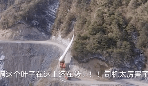 咋有几个小黑点？大风车“神龙摆尾”背后 | 相对论·两会你我他