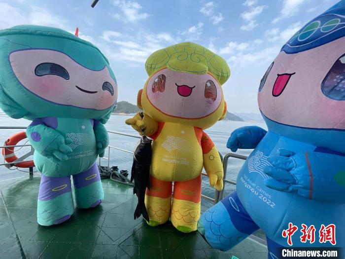 杭州亚运会吉祥物现场助力。 王建才 摄