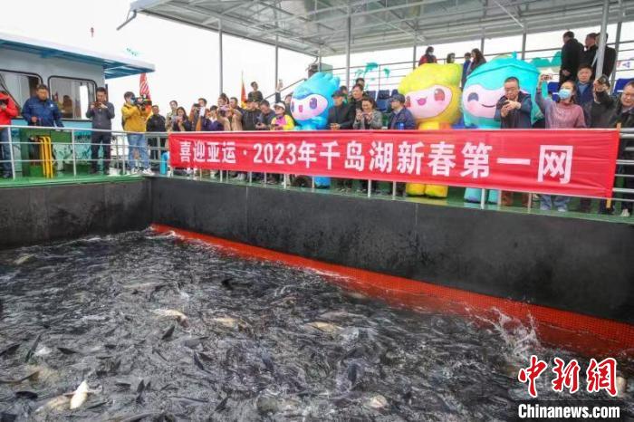 浙江千岛湖迎来新春首场“巨网捕鱼”。 王建才 摄